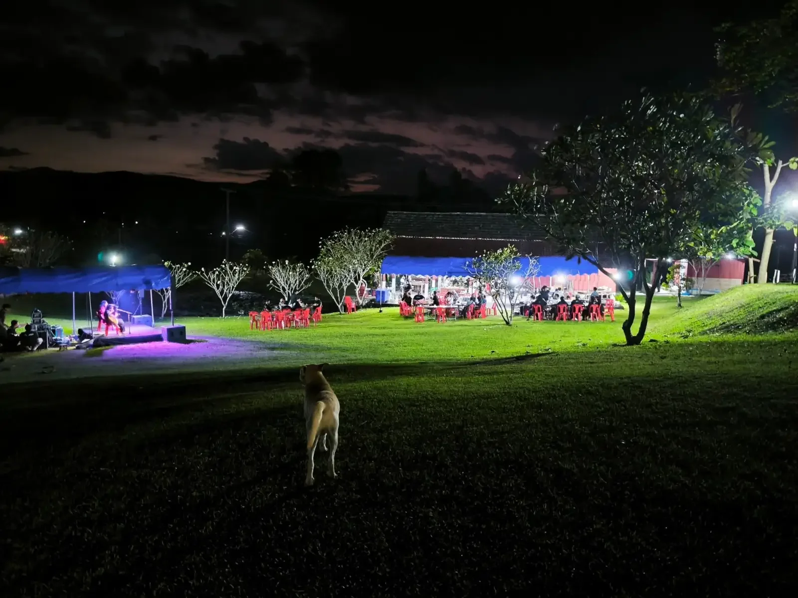 WELCOME BACK TO HELL UNIVERSITY 1 - WELCOME BACK TO HELL UNIVERSITY event photo at Hell University cultural hub in Mae Taeng, Chiang Mai, Thailand